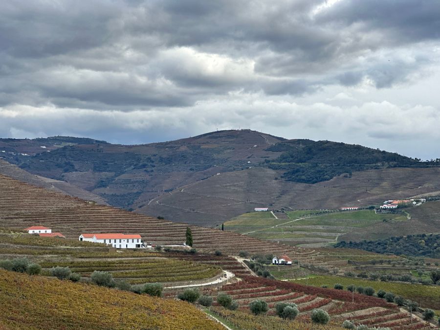 Vinogradniška domačija, Goriška Brda