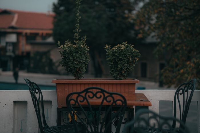 Terase, balkoni in zelene strehe